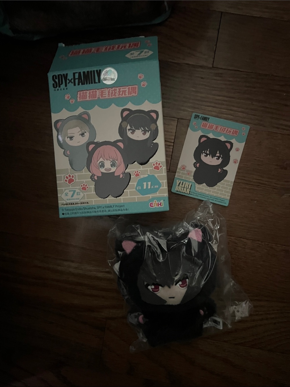 Spy x blind box